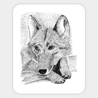 Hand drawn wolf (pen & ink) Sticker